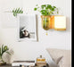Audhild - Planter Light Wall Sconce  BO-HA Right Cylinder  