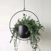 Gudrun - Metal Hanging Pot  BO-HA   