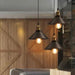 Jorine - Modern Nordic Industrial Pendant Lighting  BO-HA   