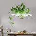 Ragna - Planter Light Table Pendant  BO-HA   