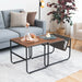 Vidar - Square Coffee Table with Storage Set of 2  BO-HA   