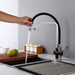 Skál - Black Chrome Kitchen Faucet  BO-HA   