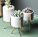 Ida - Ceramic Flower Planters with Modern Stand  BO-HA   