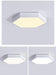 Helga - Hex Ceiling Light Fixture  BO-HA   